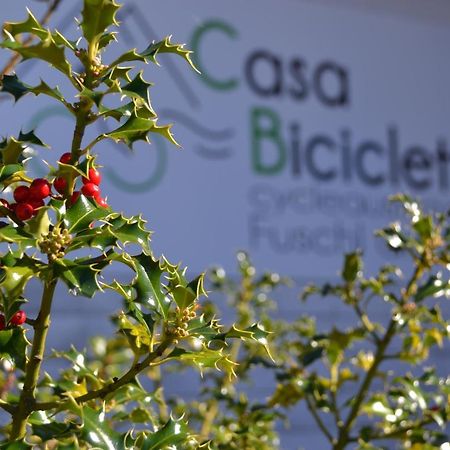 Casa Bicicletta Apartment Fuschl am See Ngoại thất bức ảnh